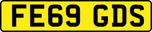 FE69GDS