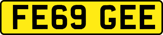 FE69GEE
