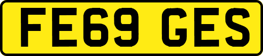 FE69GES