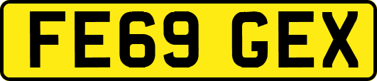 FE69GEX