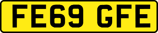 FE69GFE