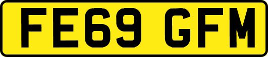 FE69GFM