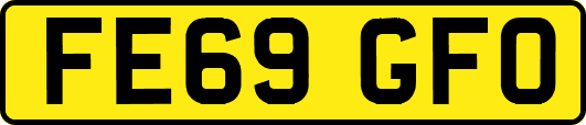 FE69GFO