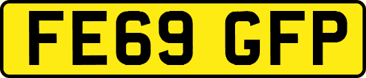 FE69GFP