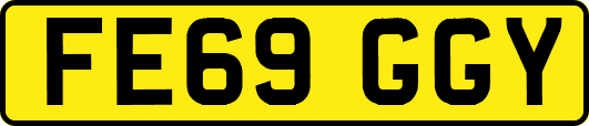 FE69GGY