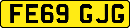 FE69GJG
