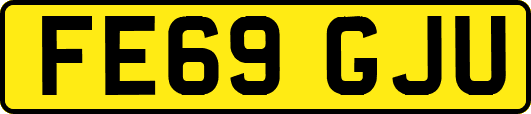 FE69GJU