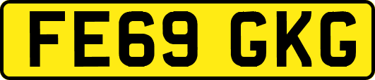 FE69GKG