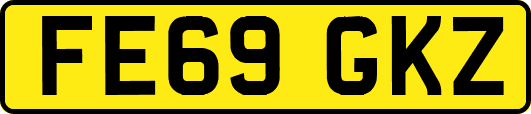 FE69GKZ