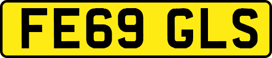 FE69GLS