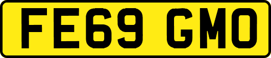 FE69GMO