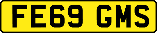 FE69GMS