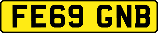 FE69GNB