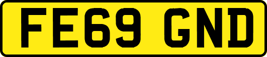 FE69GND