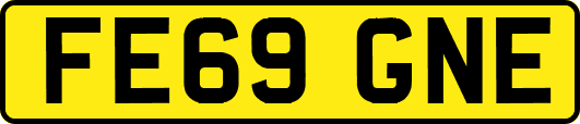 FE69GNE