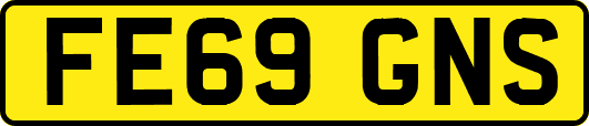 FE69GNS