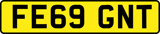 FE69GNT