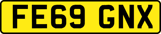 FE69GNX