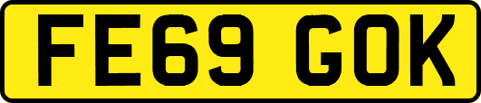 FE69GOK