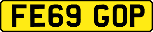 FE69GOP