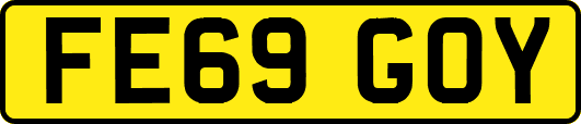 FE69GOY