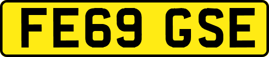 FE69GSE