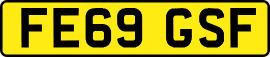 FE69GSF
