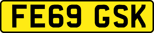 FE69GSK