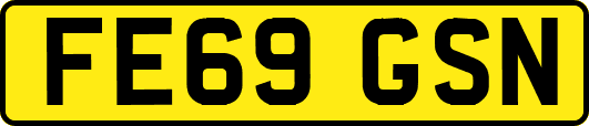 FE69GSN