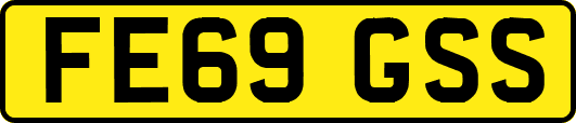FE69GSS