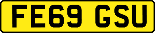 FE69GSU