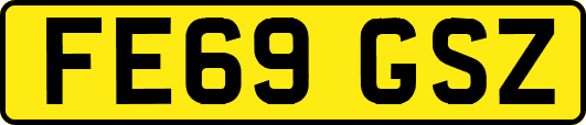 FE69GSZ