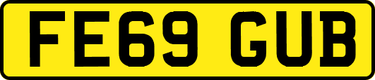 FE69GUB