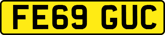 FE69GUC