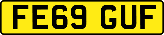 FE69GUF