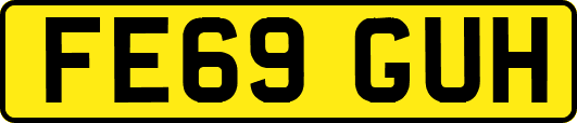 FE69GUH