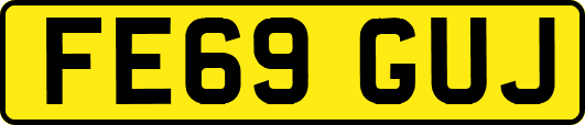 FE69GUJ