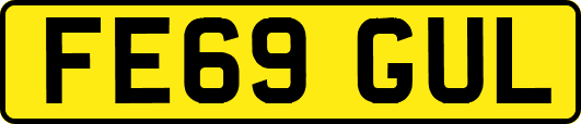 FE69GUL