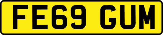 FE69GUM