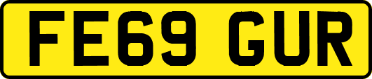 FE69GUR
