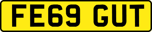 FE69GUT