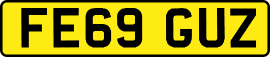FE69GUZ