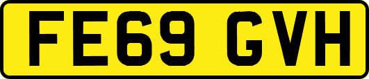 FE69GVH