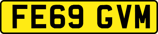 FE69GVM