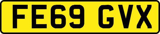 FE69GVX