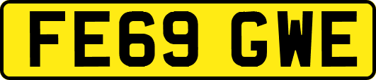 FE69GWE