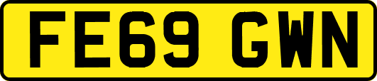 FE69GWN
