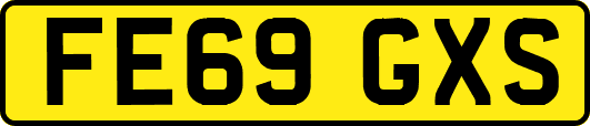 FE69GXS