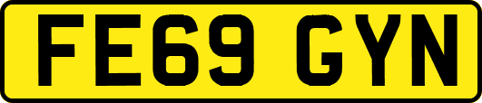 FE69GYN