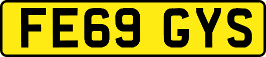 FE69GYS